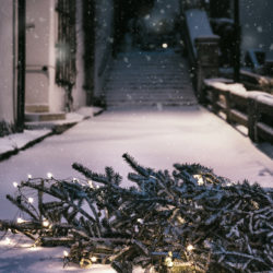 ein Weihnachtsbaum mit Lichtern auf der verschneiten Strasse liegend