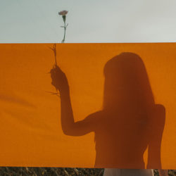 Silhouette einer Frau hinter einem orangen Leintuch. Sie hält eine Blume in der Hand welche oben heraus schaut.