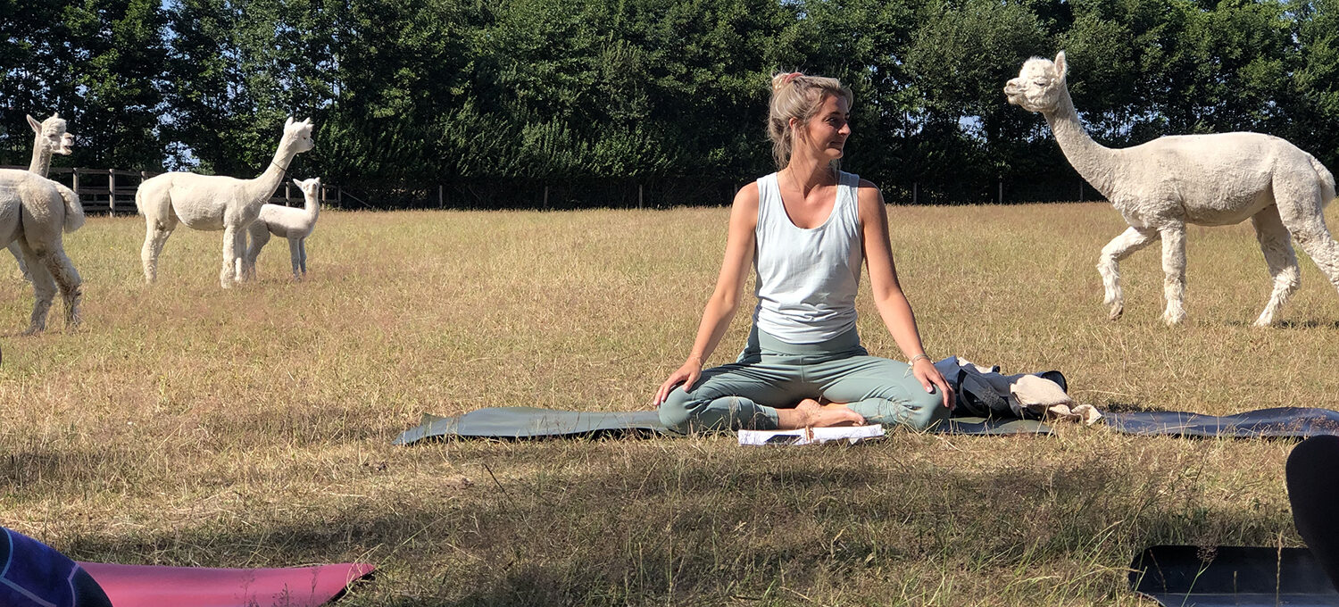 Laura von Yin your Mind beim Alpaka-Yoga unterrichten