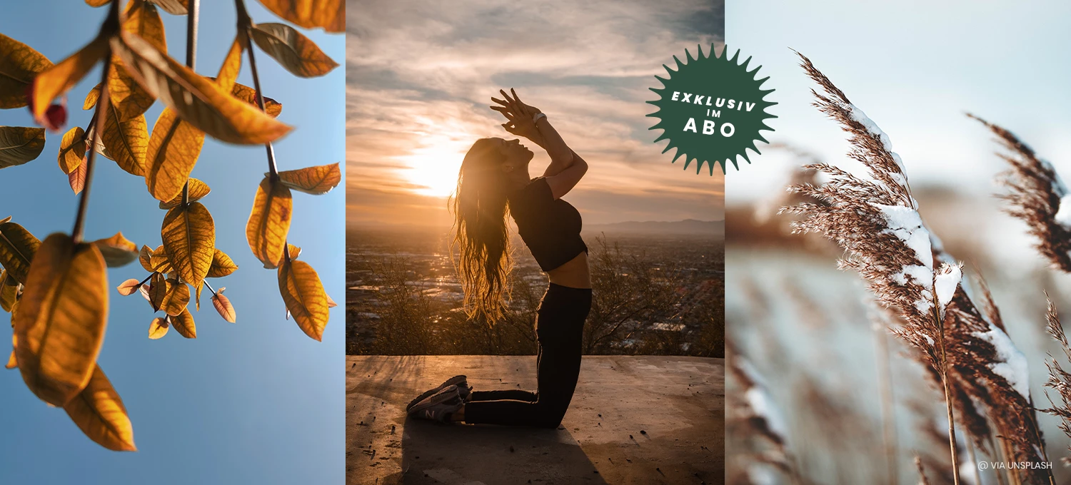 Ein Herbst, ein Yoga und eine Winter-Motiv